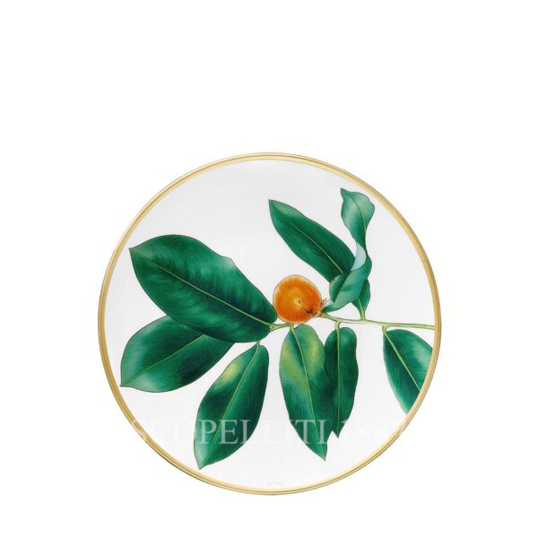 hermes passifolia new collection porcelain plate