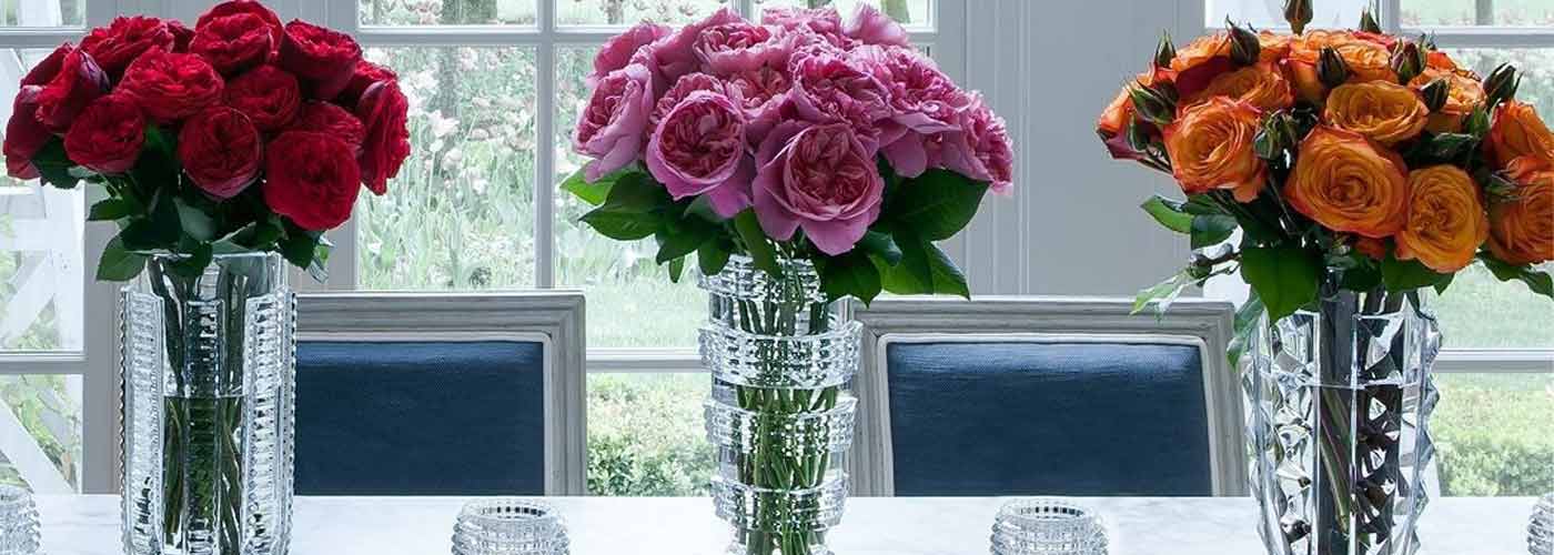 baccarat crystal vases