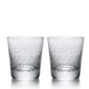 Baccarat Rohan Set two Crystal Tumblers