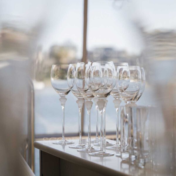 versace medusa lumiere wine glasses