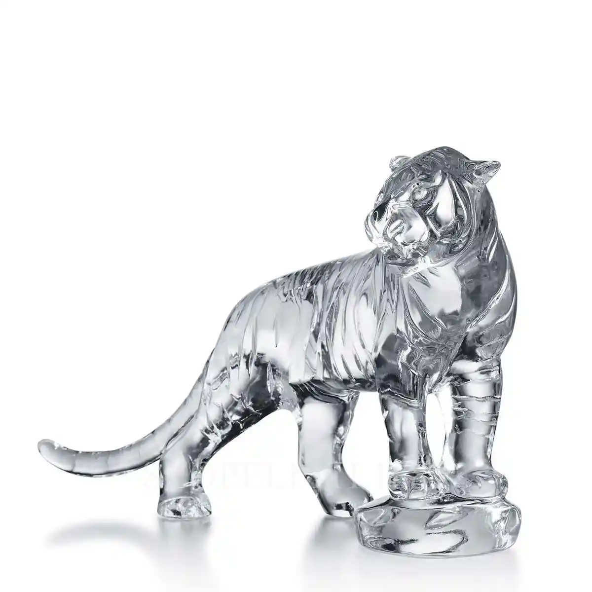baccarat roaring bengal tiger clear