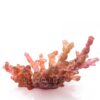 Daum Crystal Bowl Mer de Corail Amber Red Numbered Edition