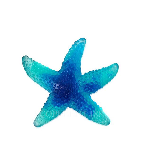 daum mer de corail starfish blue