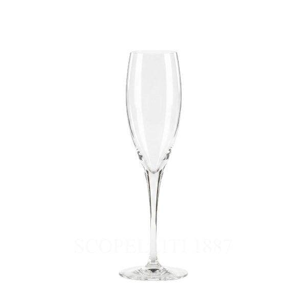 baccarat st remy crystal champagne glass