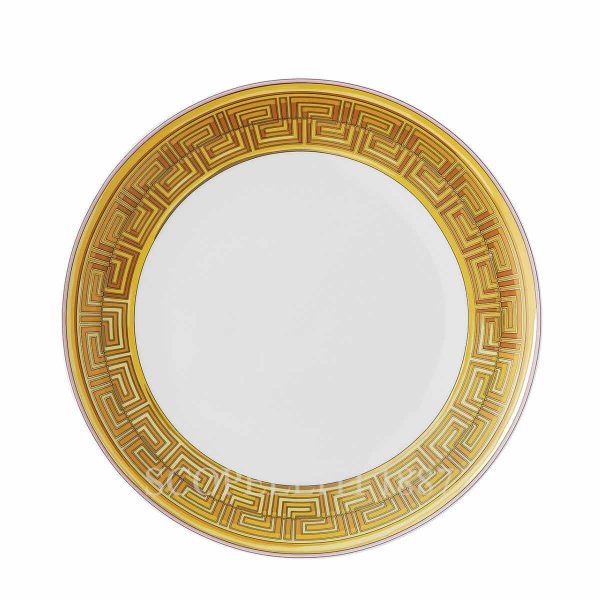 versace medusa amplified dinner plate pink coin