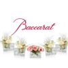 Baccarat Mille Nuits Crystal Centerpiece Infinite Medium