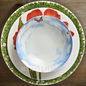 taitu freedom set dinner plates service