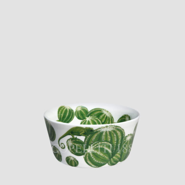 taitu small bowl cactus