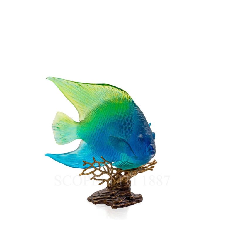 daum royal angelfish blue yellow limited edition