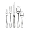 Ercuis Sully 5 piece Silver Plated Flatware Set