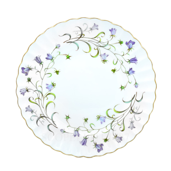 spode dinner plate canterbury