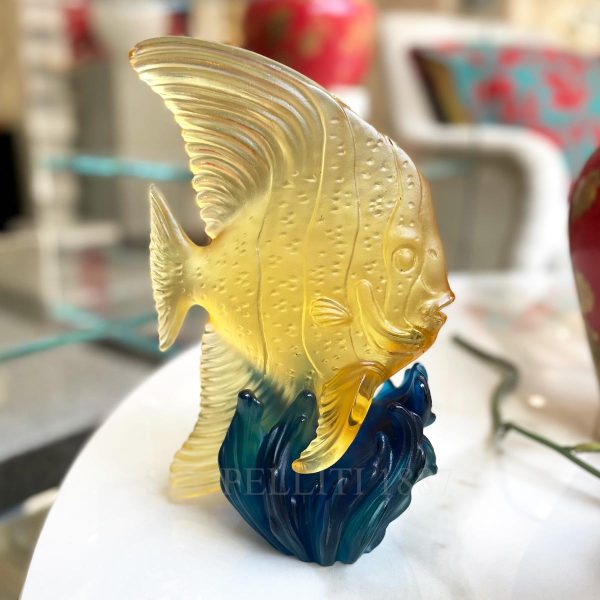 daum maya platax fish yellow and blue