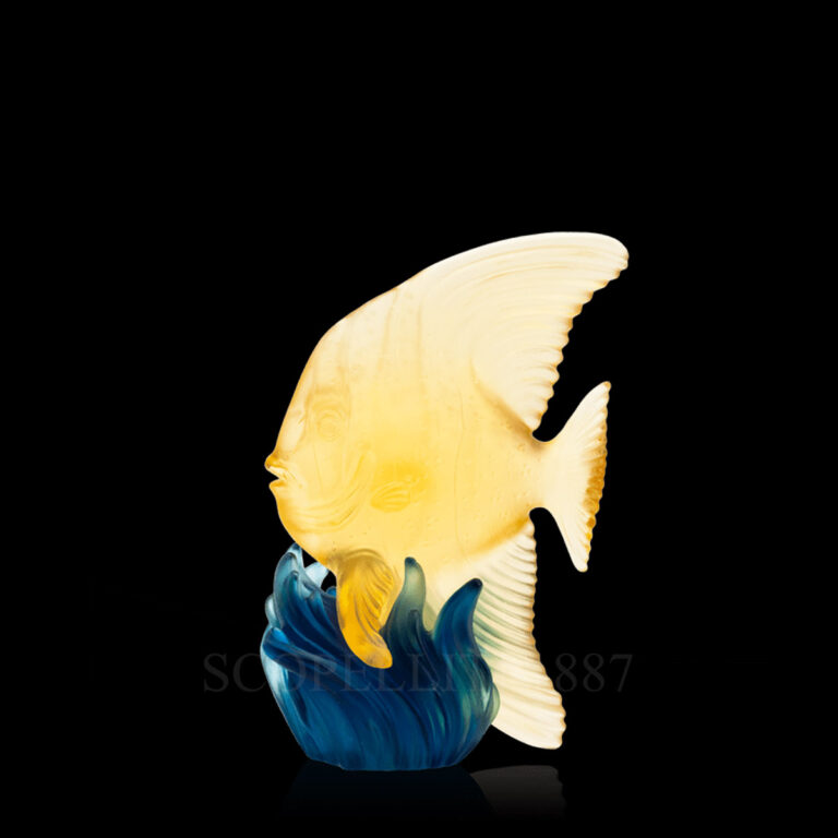 daum maya platax fish yellow blue