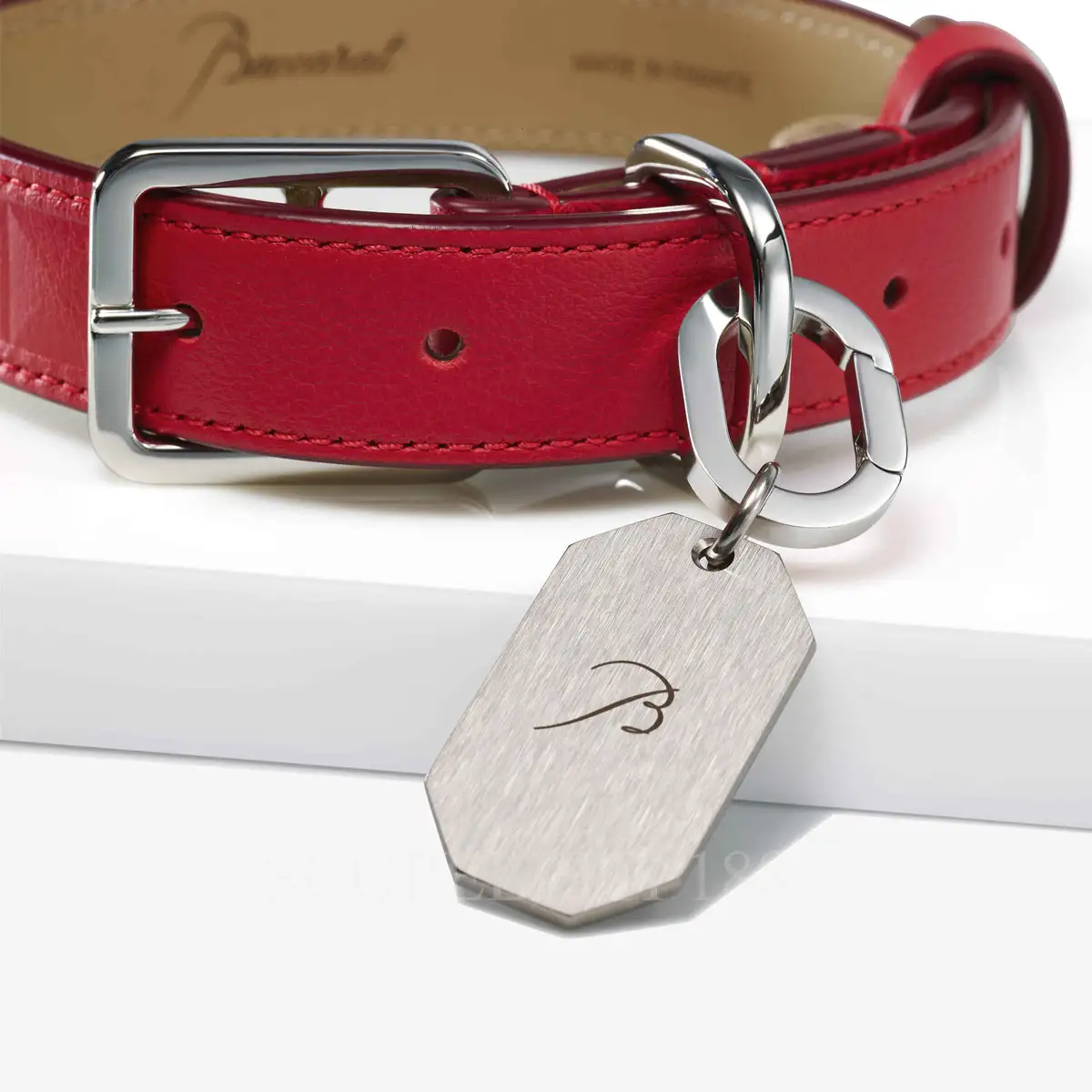 designer dog collar baccarat