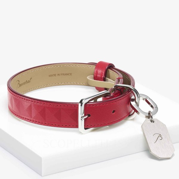 designer dog collar baccarat