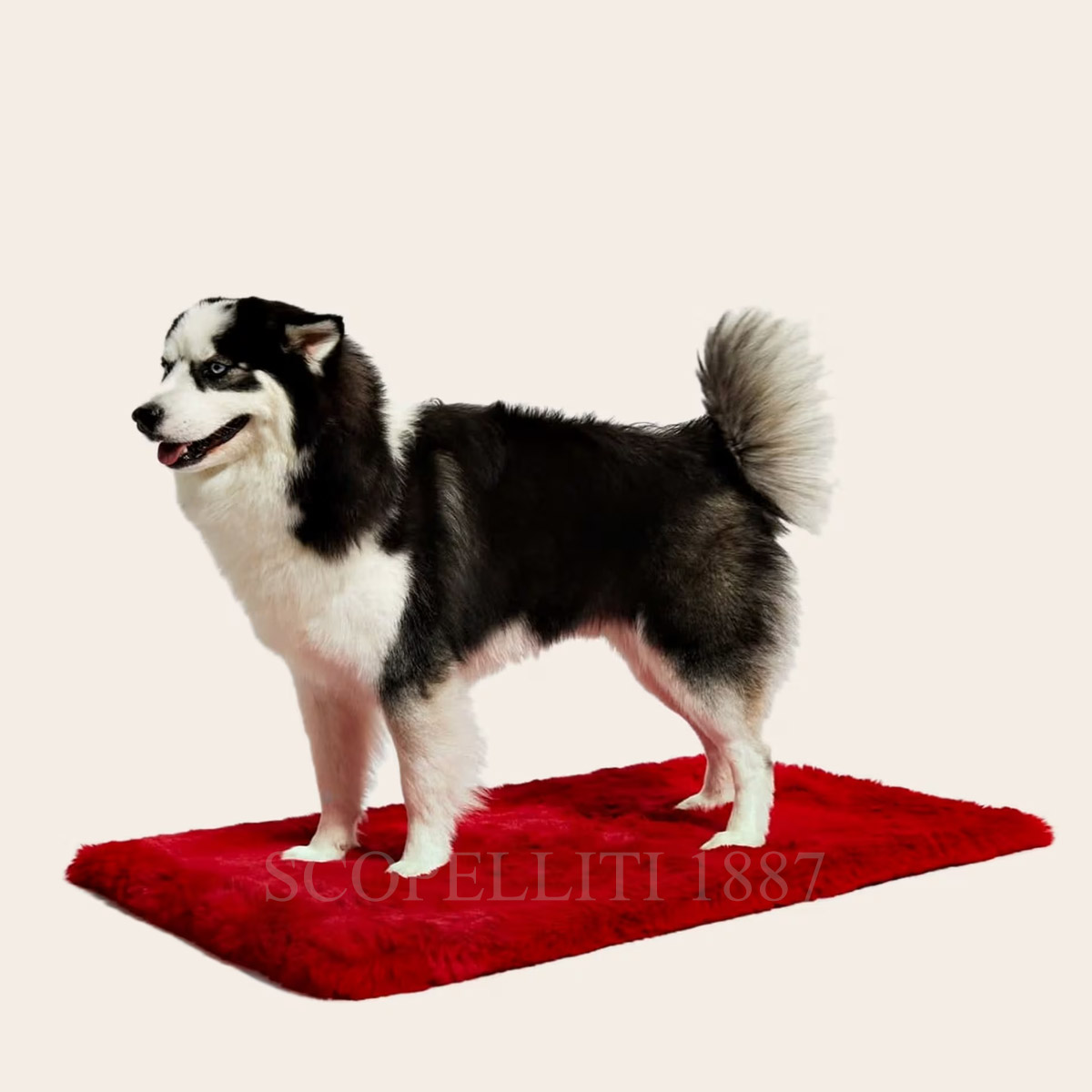 guess luxury dog bed le tapis rouge