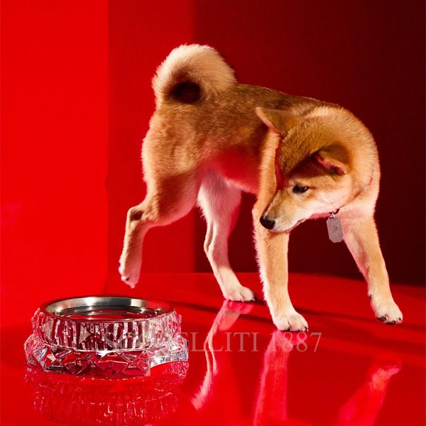 baccarat pet bowl louxor large