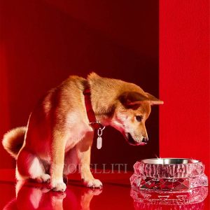 baccarat pet bowl louxor large