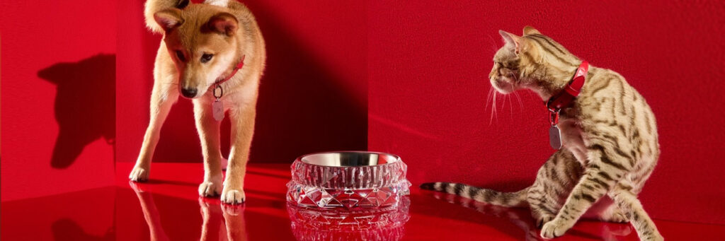 luxury gifts for animal lovers baccarat designer dog and cat collars