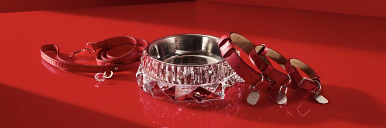 luxury pet accessories baccarat