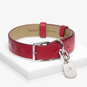 baccarat pet collar louxor l