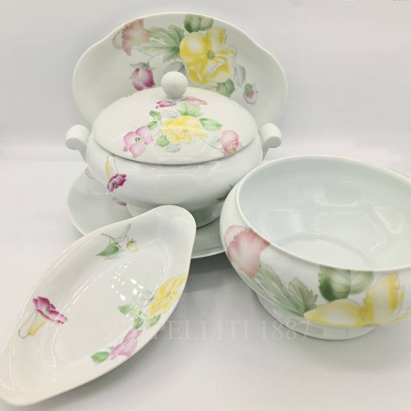 limoges porcelain dinnerware set