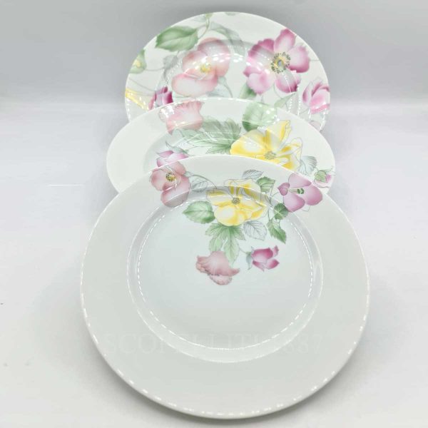 limoges porcelain dinnerware set