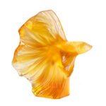lalique fighting fish amber