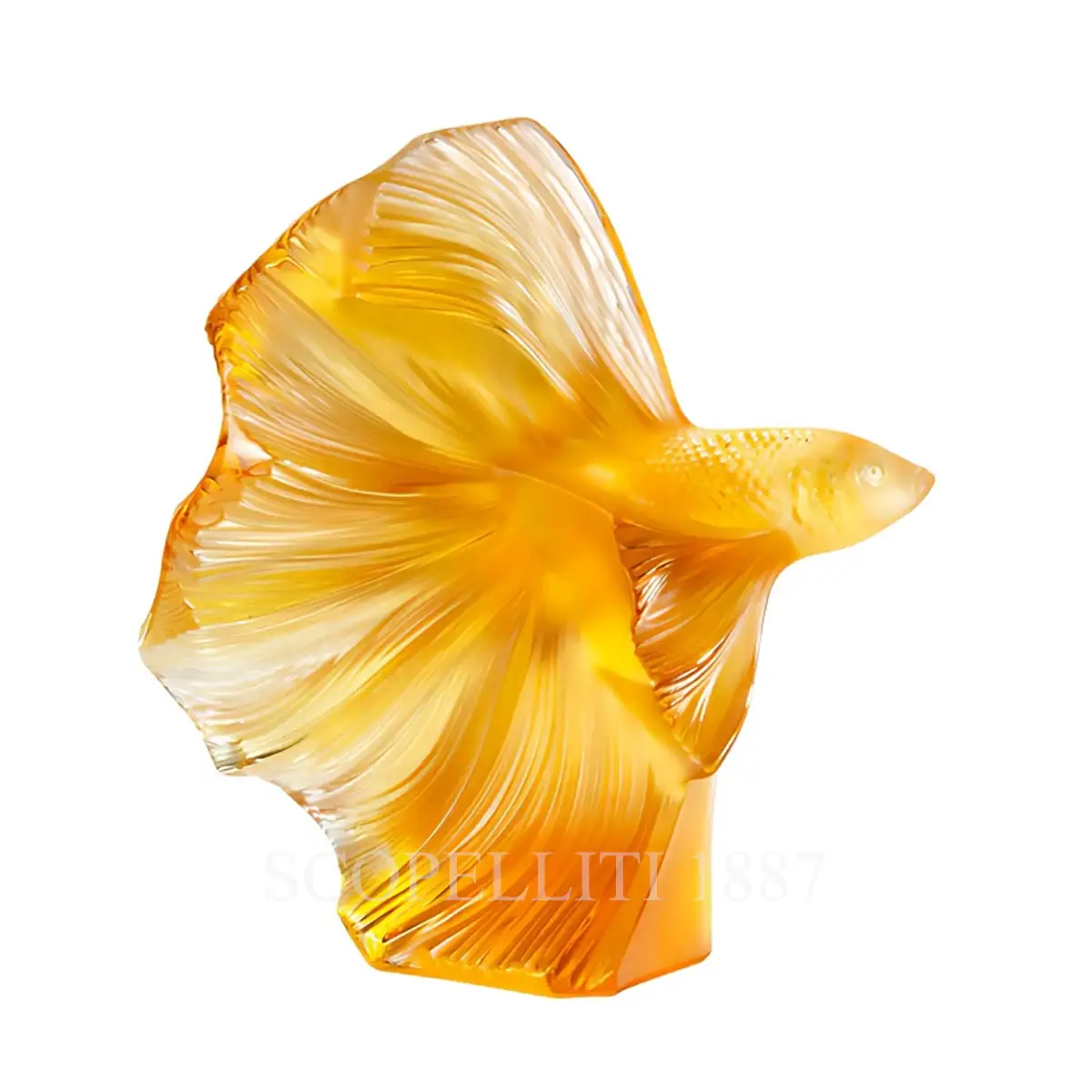 lalique fighting fish amber