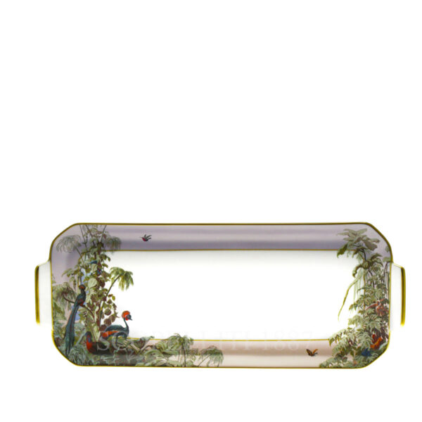 haviland le bresil rectangular cake platter