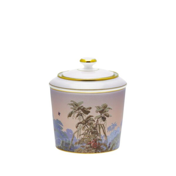 haviland le bresil sugar box