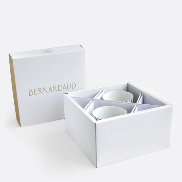 bernardaud aux oiseaux gift box with 2 breakfast cups and saucers in limoges porcelain perfect for gift