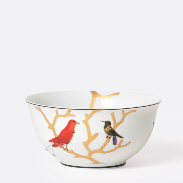 bernardaud aux oiseaux noodle bowl in limoges porcelain with hand-painted bird motifs