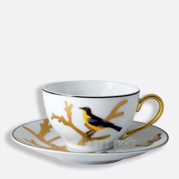 bernardaud aux oiseaux tea cup and saucer in limoges porcelain with bird motifs and gold detailing