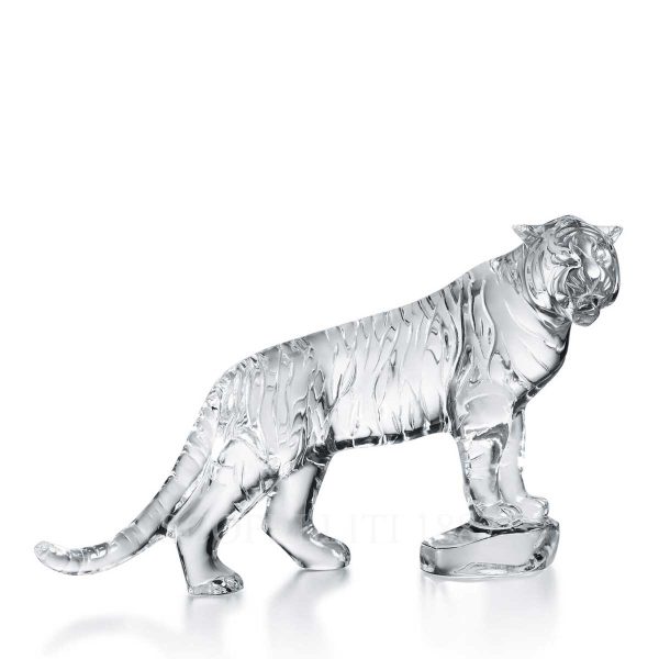baccarat roaring bengal tiger clear