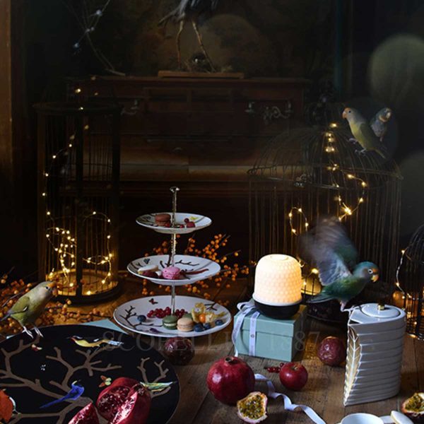 bernardaud aux oiseaux