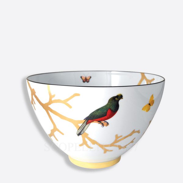 bernardaud aux oiseaux salad bowl 27 cm x 17 cm limoges porcelain with bird motif and gold detailing