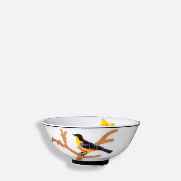 bernardaud aux oiseaux soup bowl in limoges porcelain with hand-painted bird motifs