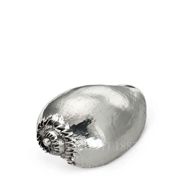 buccellati sea bailer shell