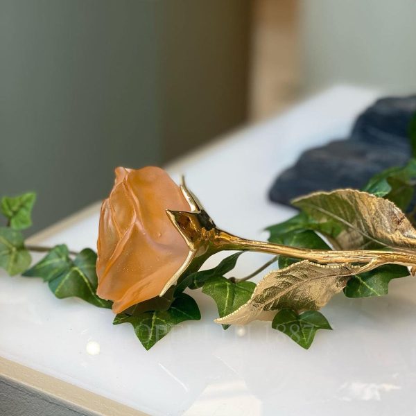 daum orange pink gold eternal rose