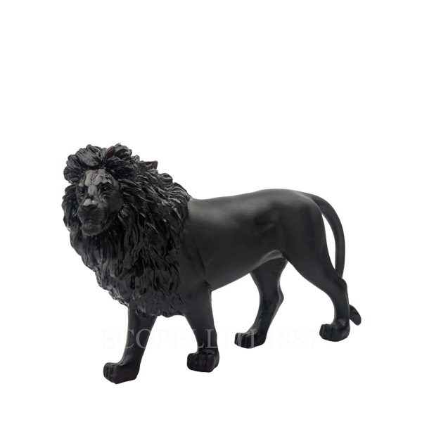 daum lion sand black limited edition