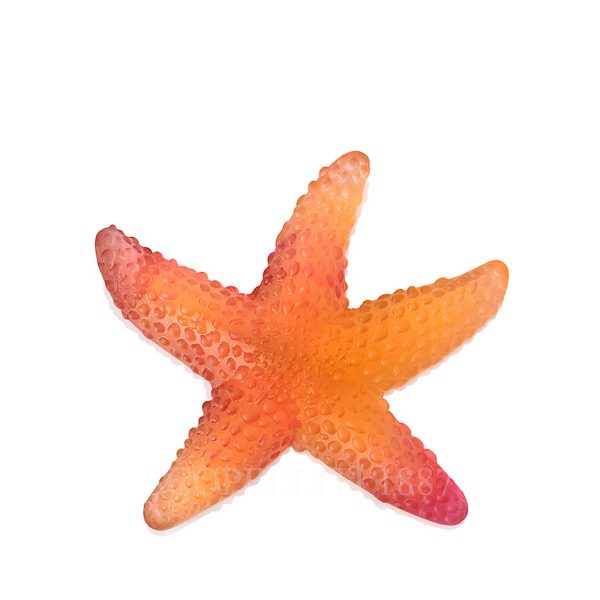 daum mer de corail starfish amber red
