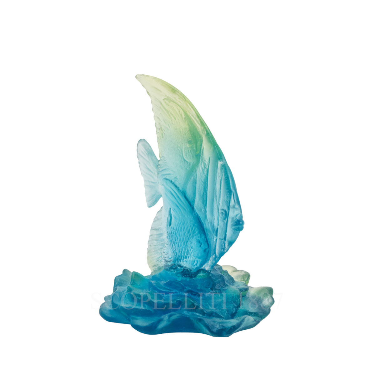 daum small fish platex