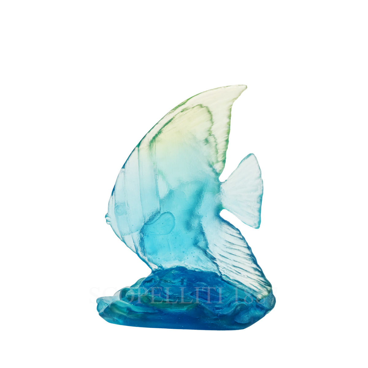 daum small fish platex