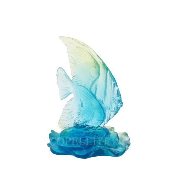 daum small fish platex