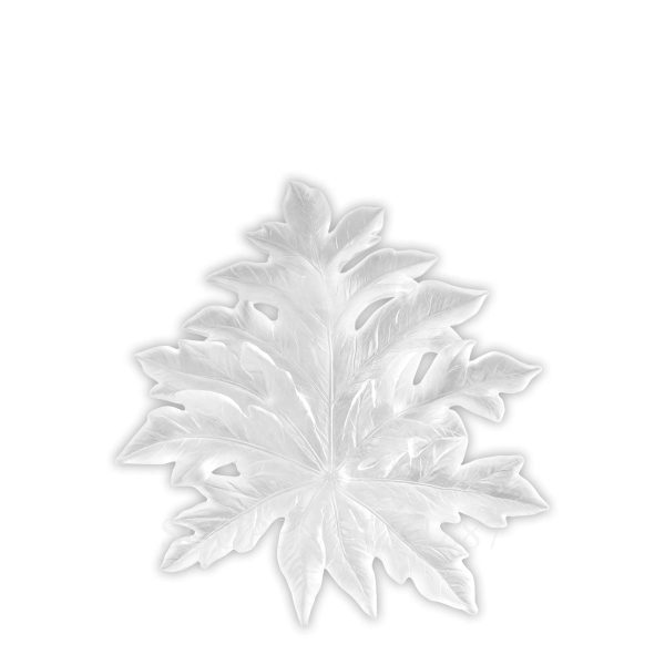 daum small white wall leaf with long fixing