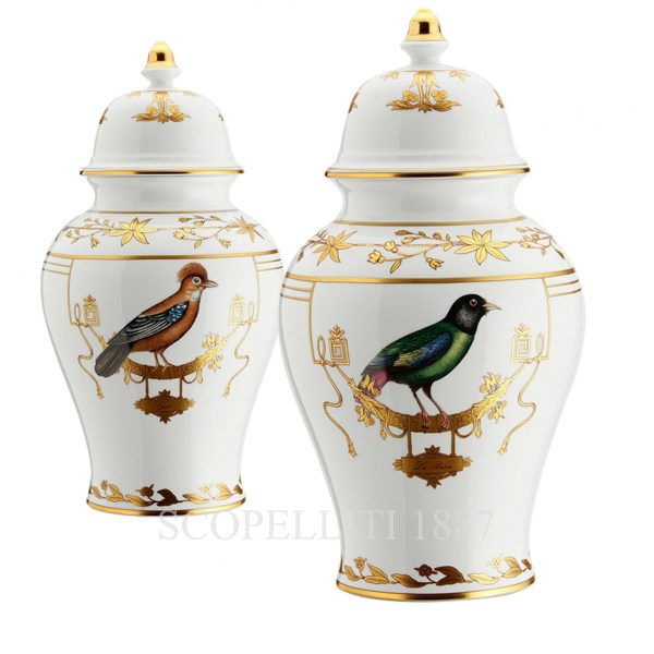 ginori 1735 voliere vase potiche with cover