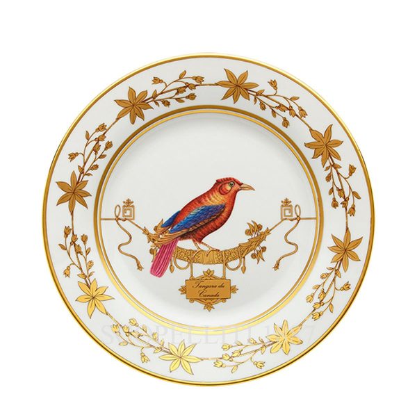 ginori flat plate tangara du canada