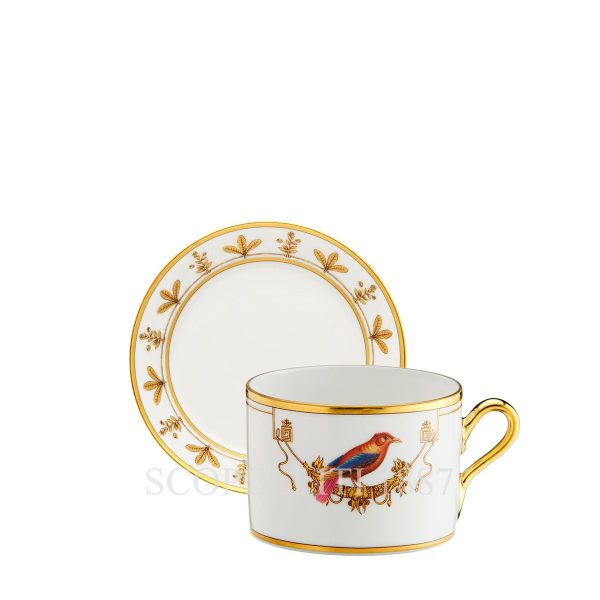 ginori tea cup with saucer voliere tangara du canada