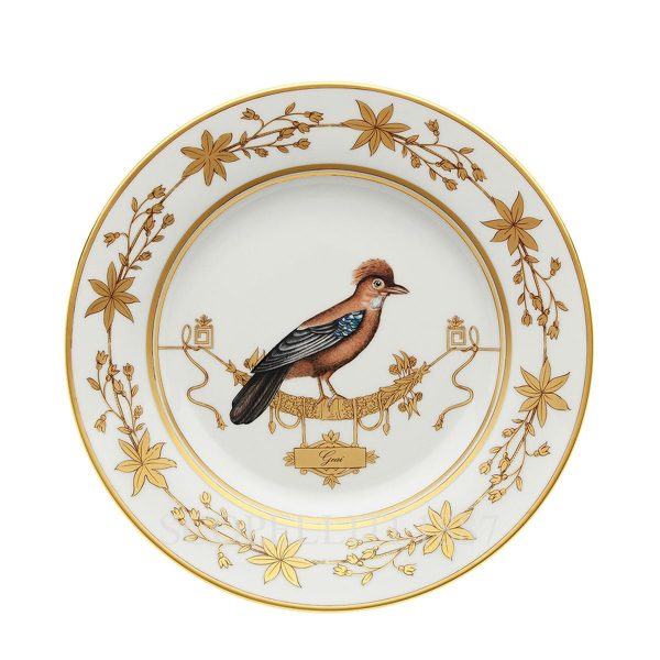 ginori voliere flat plate geai